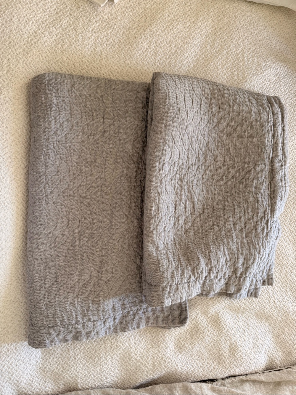 Two Restoration Hardware King Shams